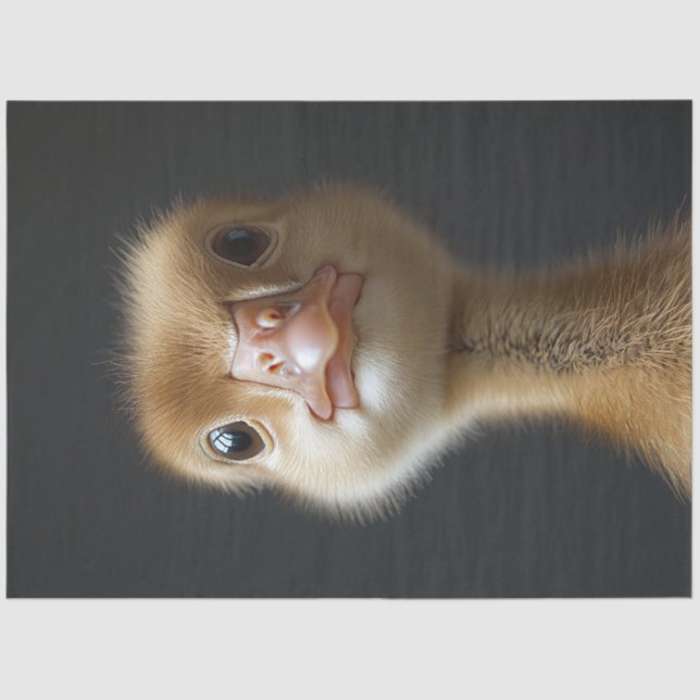 Papel De Seda Desenlace de retrato lindo (Anverso)