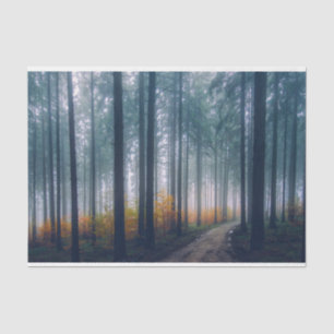 Papel De Seda Desenlace de rutas forestales polvorientas