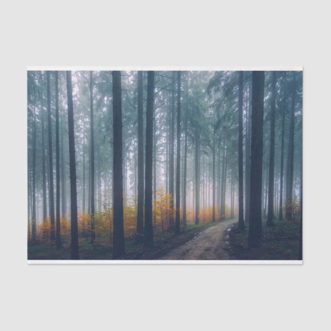 Papel De Seda Desenlace de rutas forestales polvorientas (Anverso)