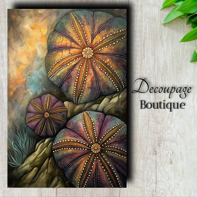 Papel De Seda Desenlace de Sea Urchin (Sea Urchin Decoupage Tissue Paper)