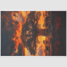 Desenlace del elefante del árbol del atardecer afr