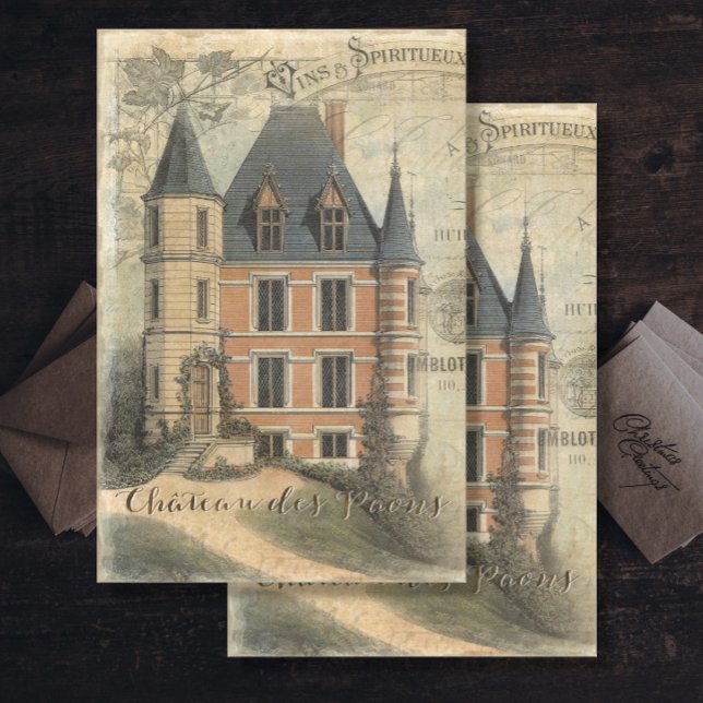 Papel De Seda Desenlace del guión de época del castillo francés (Subido por el creador)
