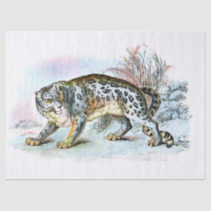 Papel De Seda Desenlace del Ilustracion Vintage Snow Leopard