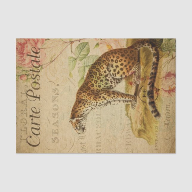 Papel De Seda Desenlace del Leopardo de las Postales Francesas d (Anverso)