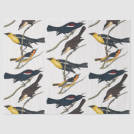 Papel De Seda Desenlace del patrón de aves y ramas