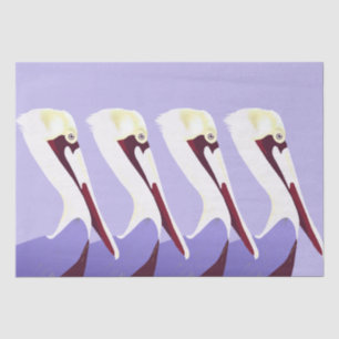 Papel De Seda Desenlace Pelican Pelicans