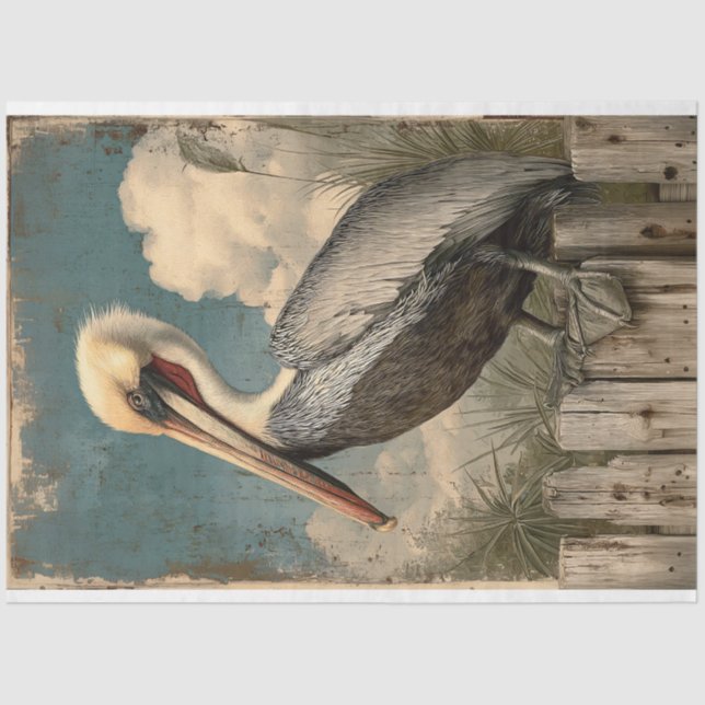 Papel De Seda Desenlace Pelicano Costero Vintage (Anverso)