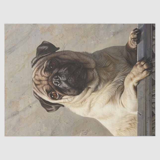Papel De Seda Desenlace Regal Pug (Anverso)