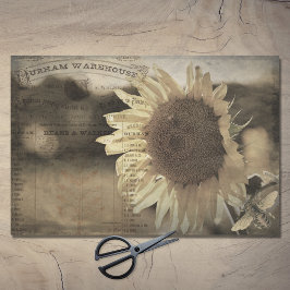 Papel De Seda Desenlace Rústico De La Granja De Abejas De Sunflo