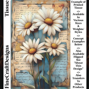 Papel De Seda Desenlace Rústico Shabby Chic White Daisies DB5R