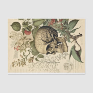 Papel De Seda Desenlace victoriano de Skull y botany