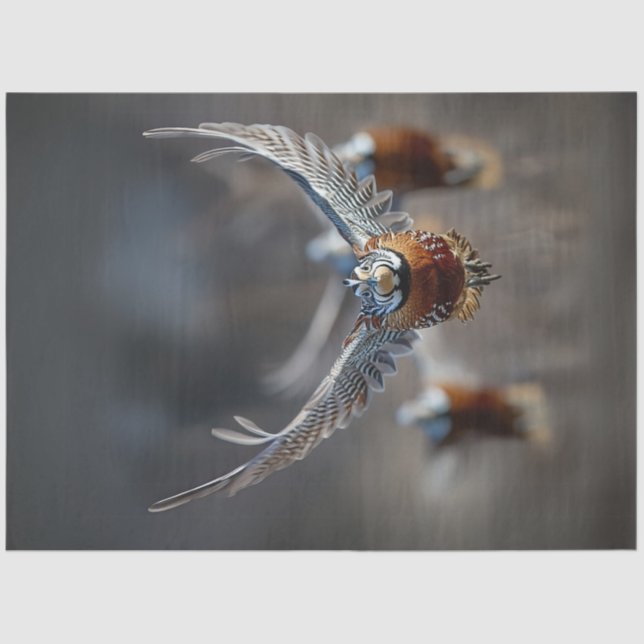 Papel De Seda Desenmascarar aves intrincadas en el vuelo (Anverso)