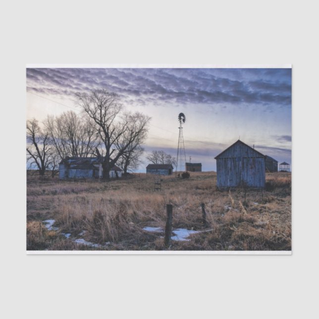 Papel De Seda Desgastando graneros grises en un campo de hierba  (Anverso)