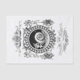 Papel De Seda Desliz de arte de caracol de Wonderland
