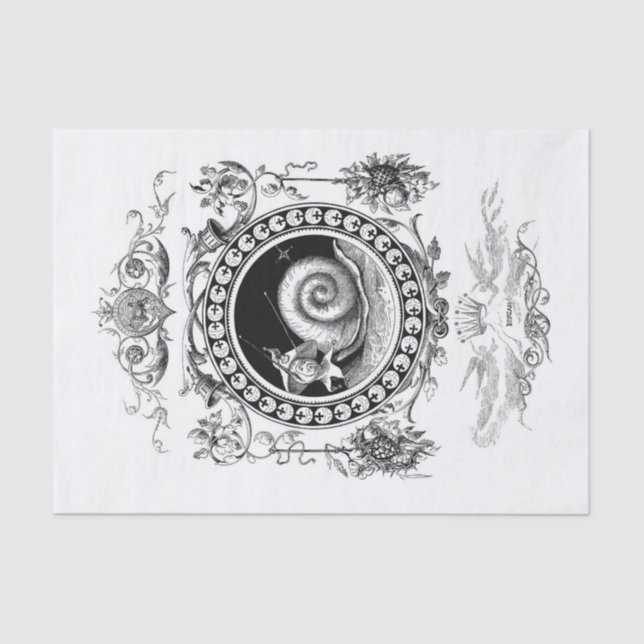 Papel De Seda Desliz de arte de caracol de Wonderland (Anverso)