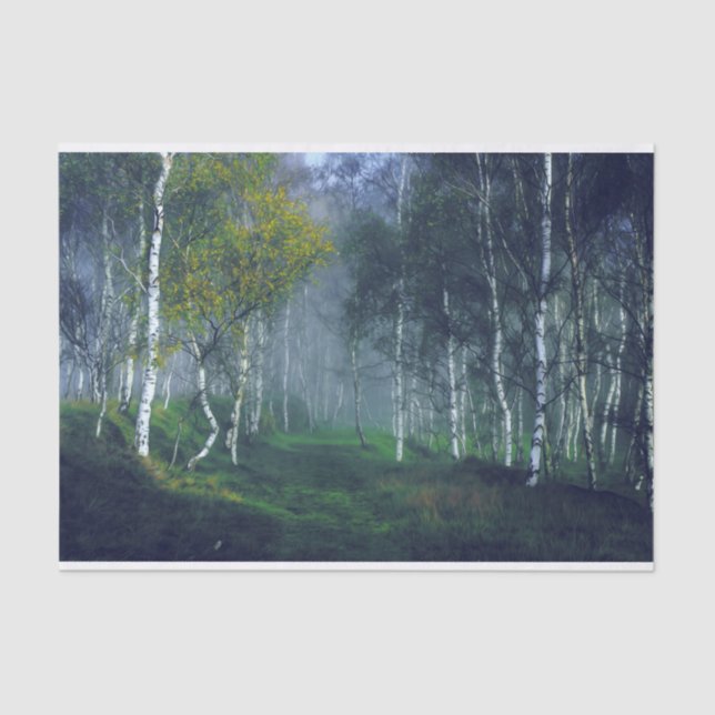 Papel De Seda Desmaqueta de pintura de aceite de bosque de Birch (Anverso)