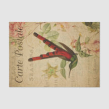 Desnuda de Ephemera French Postcard Hummingbird