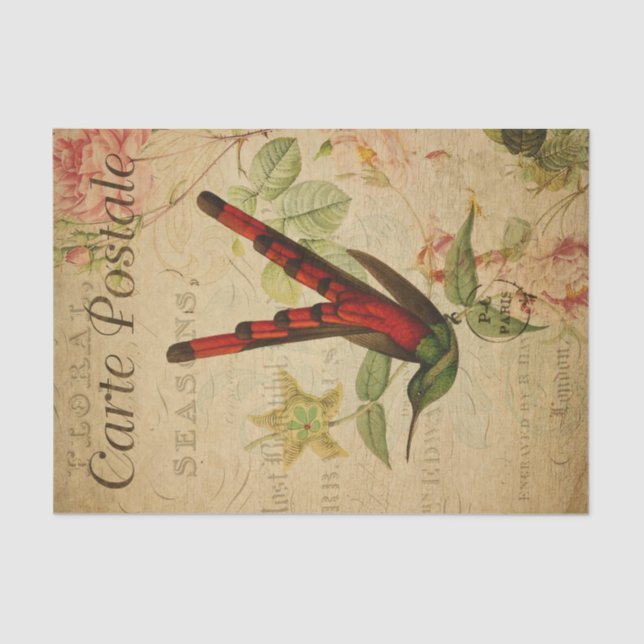 Papel De Seda Desnuda de Ephemera French Postcard Hummingbird (Anverso)