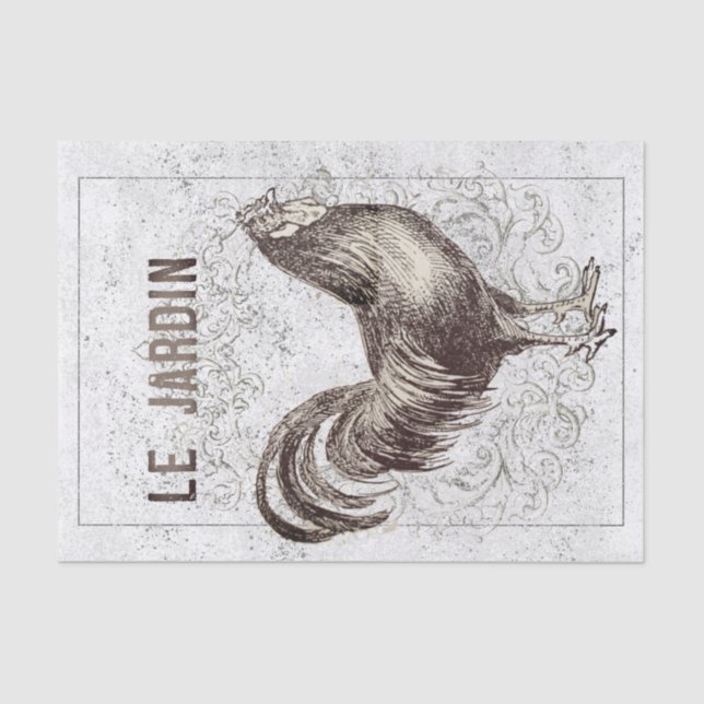 Papel De Seda Desnuda de gallo de pollo de Grunge (Anverso)