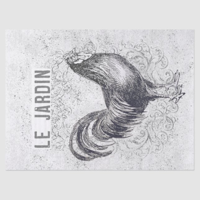 Papel De Seda Desnuda de gallo de pollo de Grunge (Anverso)