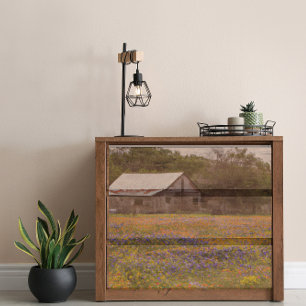 Papel De Seda Desnuda de los Bluebonnets de Barn Texas