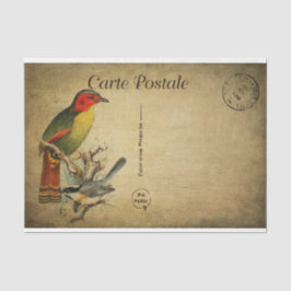 Papel De Seda Desnuda de pájaros coloridos de la postal francesa