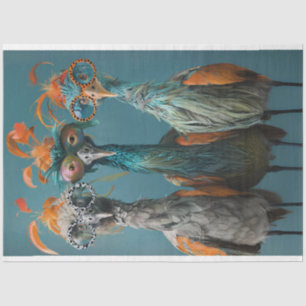 Papel De Seda Desnuda Wackadoodle Bridge Jugando Aves