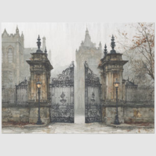 Papel De Seda Desnudar Castillo De La Puerta De Hierro Con Aleta