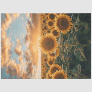 Papel De Seda Desnudar el cielo del cielo de luz solar en el cam