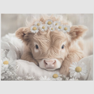 Papel De Seda Desnudar la guardería Highland Calf & White Daisie