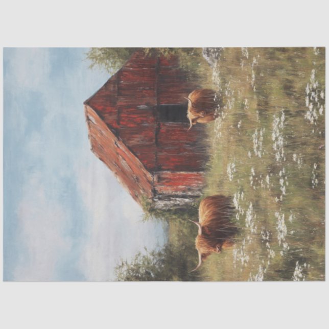 Papel De Seda Desnudar las vacas Highland en un refugio rústico  (Anverso)