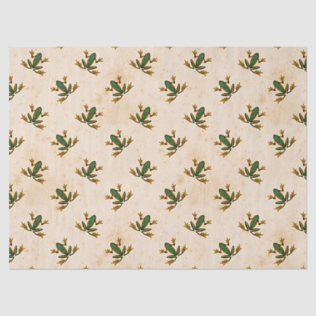 Papel De Seda Desnudo de la rana verde (Anverso)