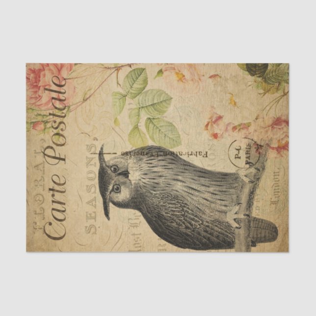 Papel De Seda Desnudo de rosas rosadas de la lechuza postal fran (Anverso)