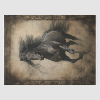 Papel De Seda Desnudo del caballo negro