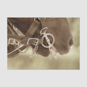 Papel De Seda Desnudo ruso verde marrón del caballo occidental