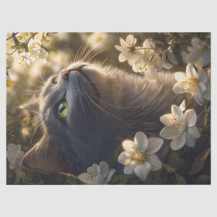 Papel De Seda Desnudos de flores blancas de gato azul ruso