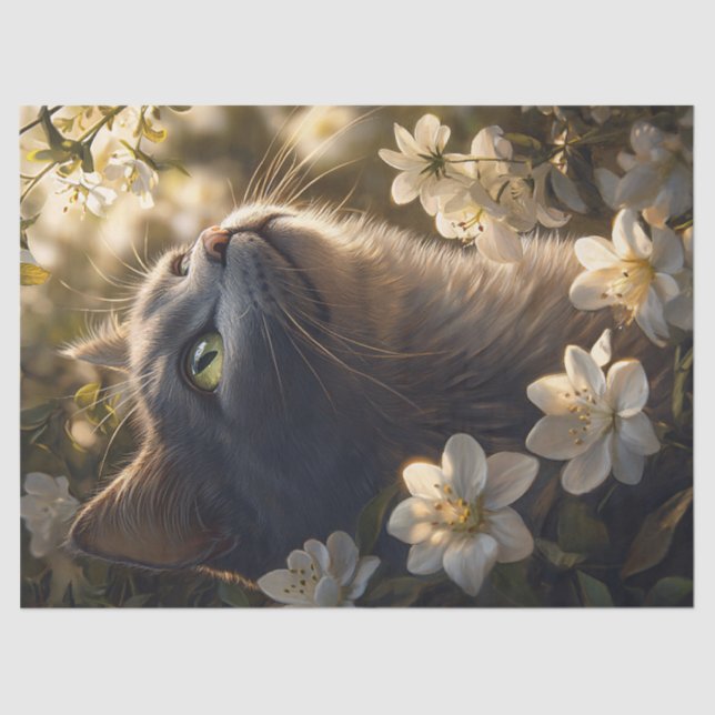 Papel De Seda Desnudos de flores blancas de gato azul ruso (Anverso)