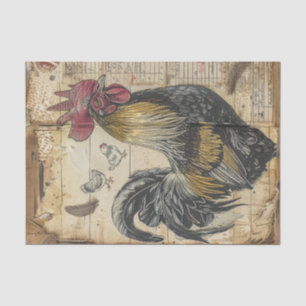 Papel De Seda Desnudos de gallos negros y chichas