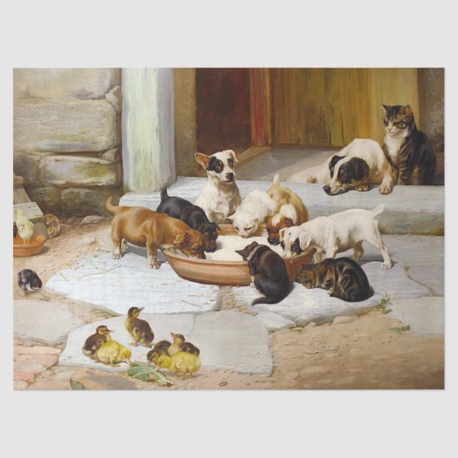 Papel De Seda Desnudos de garrapatas chichas de pato kitten (Anverso)
