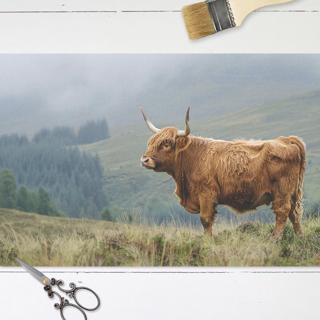 Papel De Seda Desnudos mañaneros de Highland Cow (Subido por el creador)