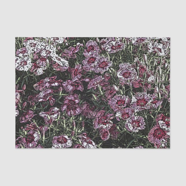 PAPEL DE SEDA DIANTHUS (Anverso)