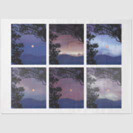Papel De Seda Diario basura Faerie Skies Moon Trees Fantasía 1-6