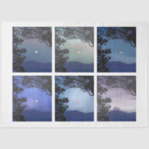 Diario basura Faerie Skies Moon Trees Fantasy 13-1