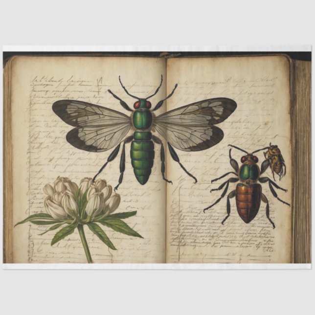 Papel De Seda Diario de Naturaleza (Anverso)