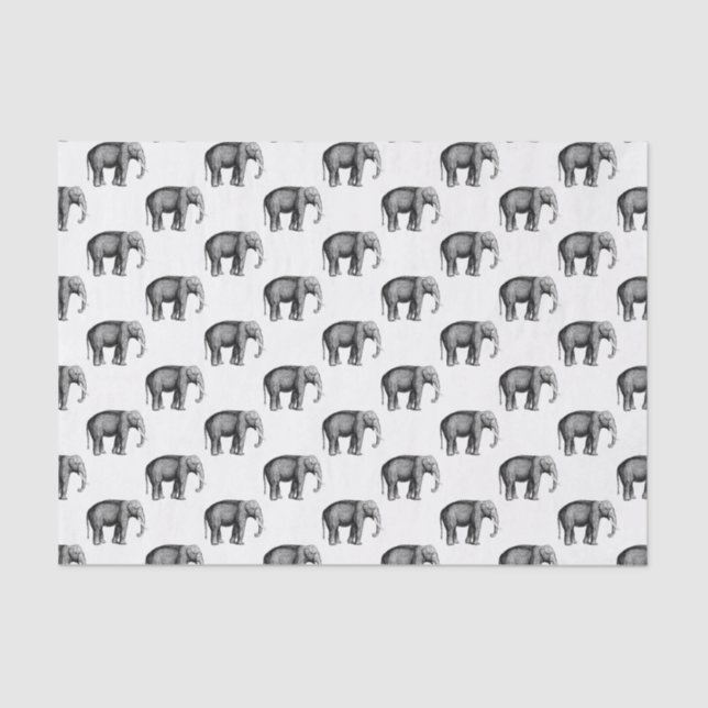 Papel De Seda Dibujo Antiguo de Elefante (Anverso)