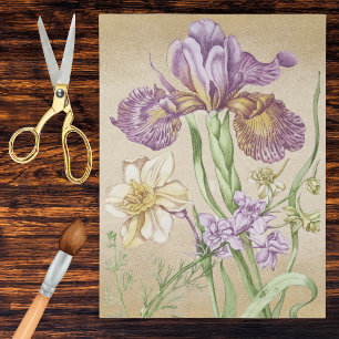 Papel De Seda Dibujo Botánico de Iris Antiguo en Púrpura y Dorad