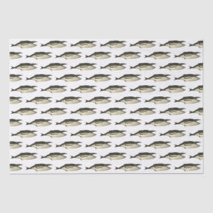 Papel De Seda Dibujo de ballena del siglo XIX #2