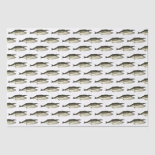 Papel De Seda Dibujo de ballena del siglo XIX vintage #2