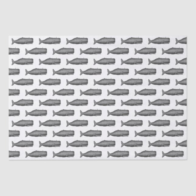 Papel De Seda Dibujo de ballenas del siglo XIX N (Anverso)