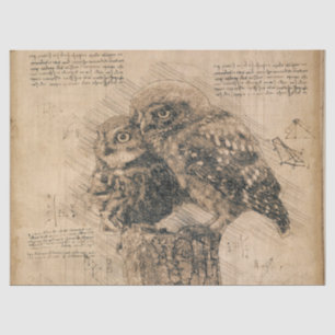 Papel De Seda Dibujo de búho de época